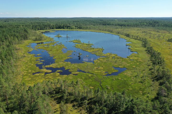 Pieni Kiemajärvi, Pihtipudas. Kuva: Lauri Kaisto.