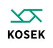 Kokkolanseudun Kehitys Oy, KOSEK-logo