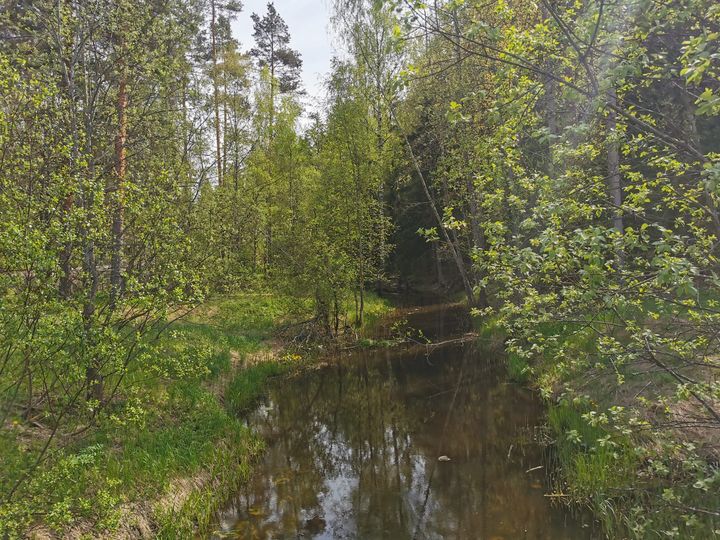 Korennon kierros sijaitsee luonnonkauniilla Lakiston alueella.