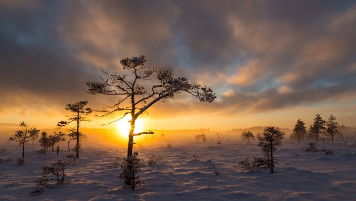 Kuvaaja: Marjo Lalli