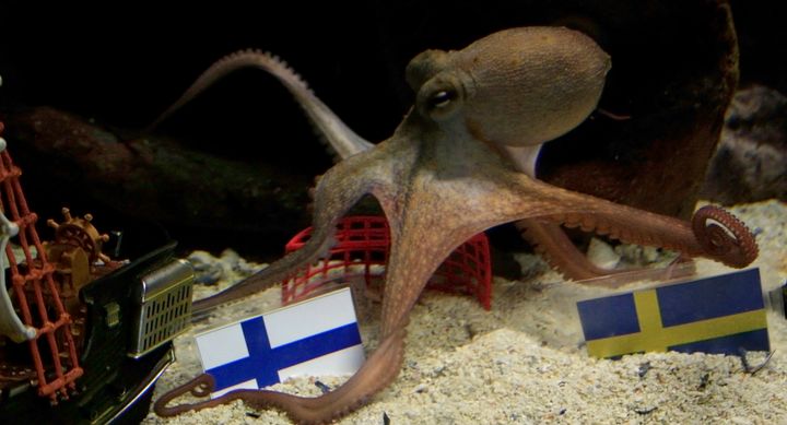 Jakki kallistuu Suomeen