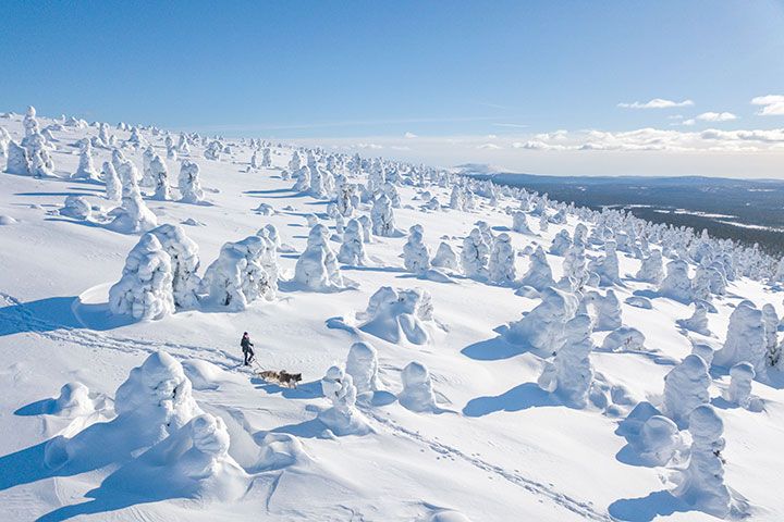 Kuva: Lapin materiaalipankki, Markus Kiili.