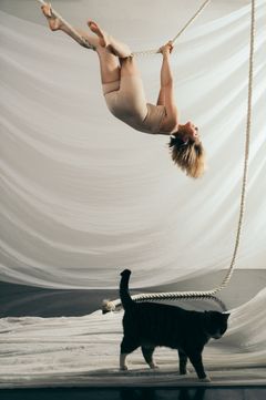 The Veil Project. Image: Mitro Härkönen.