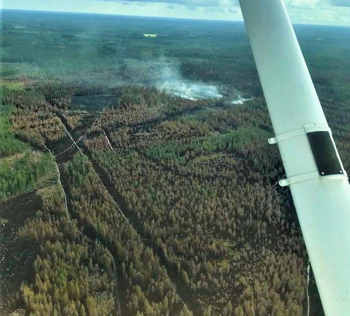 Kuvassa näkyvät mustat alueet ovat palanutta metsää Kalajoella 1.8.2021. Kuva Ilkka Kauppinen.