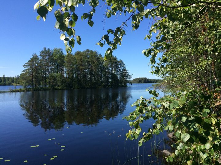 Pirkanmaan sinilevätilanne on ajankohtaan nähden rauhallinen. Kuva: Pirkanmaan ELY-keskus
