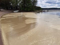 Saimaan Ukonniemen rantaan on kertynyt männyn siitepölyä. Kuva Riikka Lihavainen.