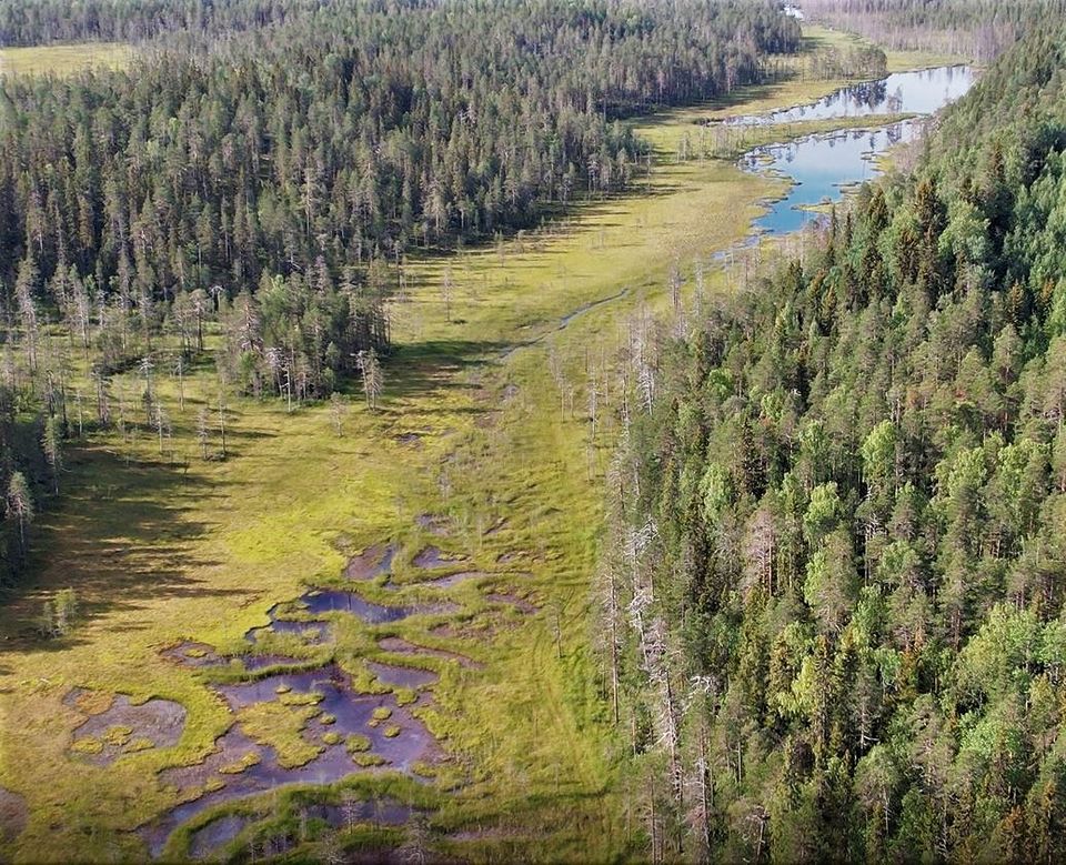 Ilmakuva suomaisemasta.