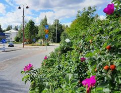 Kuva: Liikenneturva/Nina Mönkkönen