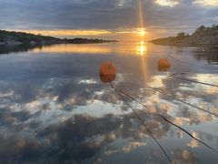 Kuva: Sanna Kipinä-Salokannel.