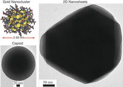 Kultananoklusterien muodostamia kaksi- ja kolmiulotteisia rakenteita. Yksittäisen klusterin atomirakenne näytetään ylhäällä vasemmalla.