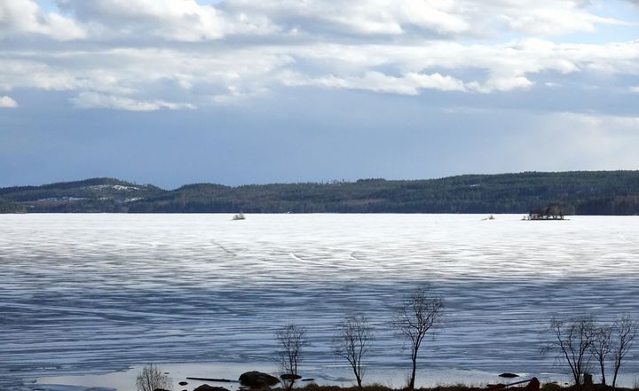 Pielisellä oli vielä jääpeite Nurmeksessa 3.5.2023. Kuva: Ilkka Elo / Pohjois-Karjalan ELY-keskus.