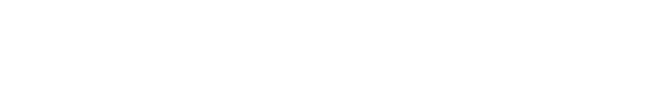 Logo_Fellowmind_WHITE large