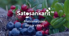 4H:n metsämarjojen osto- ja välitystoiminta Satosankarit kannustaa nuoria marjatalkoisiin.