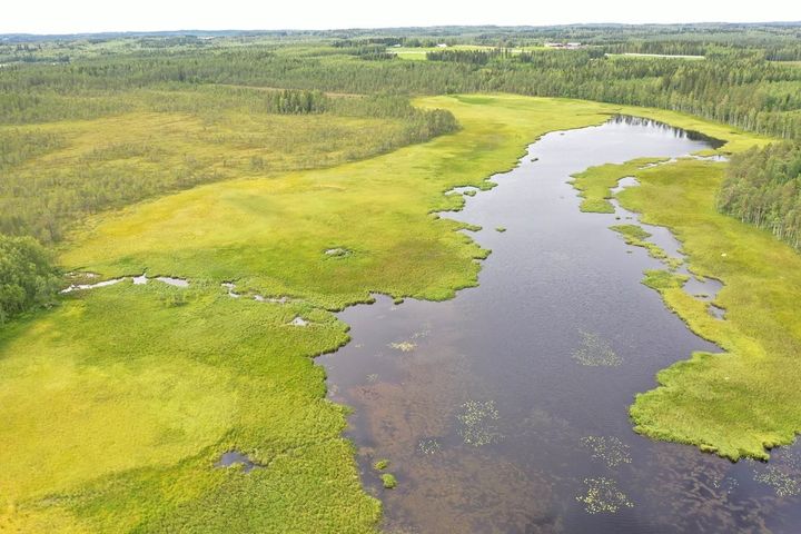 Kuva: Keski-Suomen ELY-keskus