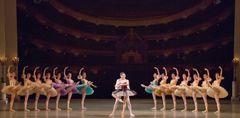 Paquita 2070 photo by M.Logvinov 10.6.14.