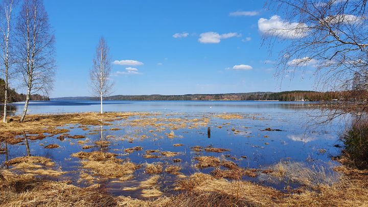 21.4.2021 otettu kuva Muroleenkosken yläpuoliselta reitiltä, jossa vedenkorkeus jatkaa nousuaan lähiviikkoina (Kuva: Sami Moilanen).