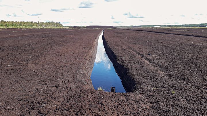 Turvetuotantoalue, jonka takana näkyy turvetta aumassa. Kuva Kirsi Kalliokoski.