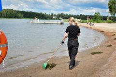 Siisti kesä! -hankkeen kesätyöntekijä haravoi Rastilan rantaa epäpuhtauksista, jotta ne eivät päätyisi veteen. Kuva: Teina Ryynänen