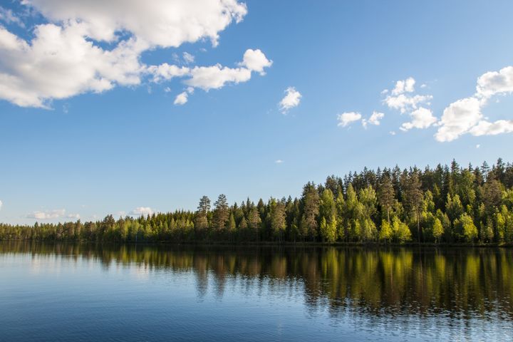 Viileät säät ovat hillinneet sinilevien kasvua. Kuva: Joona Kotilainen, kuviasuomesta.fi