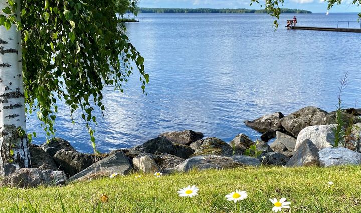 Tampereella Elianderin rannalta ei ole tehty levähavaintoja. Kuva: Sinikka Suominen