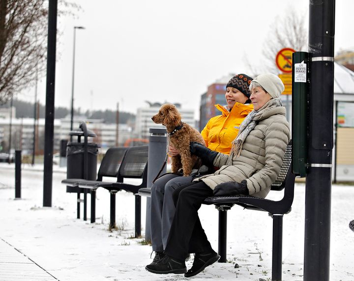 Tutkijat ovat selvittäneet elämäntapojen olevan yhteydessä vaihdevuosien alkamisikään. Kuva: Jyväskylän yliopisto