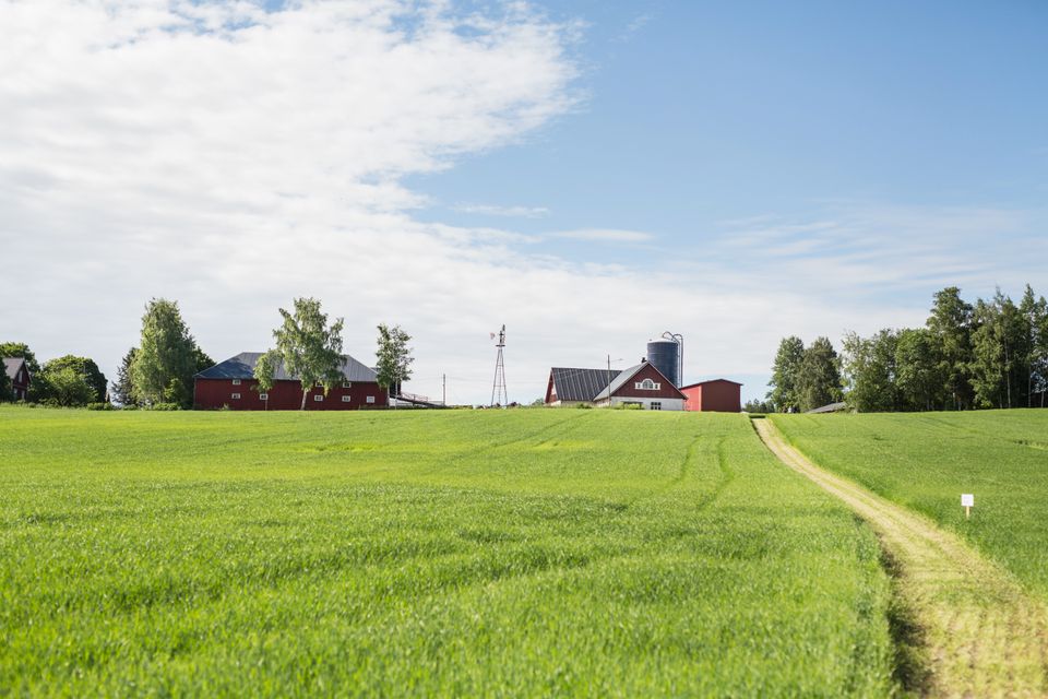 Näkymä maatilan talouskeskukseen pellolta
