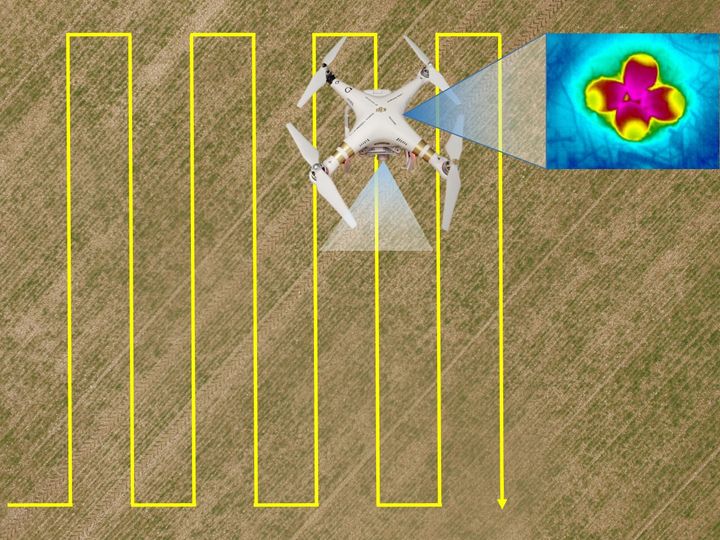 Pellon päällä lentävä lämpökameralla varustettu drooni voi löytää maassa sijaitsevat töyhtöhyypän pesät.  Kuva: John Loehr ja Andrea Santangeli