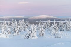 "Kun vuosi vaihtui, seisoimme Jerisjärven jäällä ja katsoimme tähtitaivasta. Tähtiä oli ruuhkaksi asti. Niiden ikivanha valo oli terävää ja jäätävän kylmää. Orionin vyön poikki lensi hiljainen tähti. Sen lento läpi tähtien pistelemän tyhjyyden oli lyhyt, sen loisto himmeä." Tomi Kontio, Kansallispuistojen kutsu. Kuva: Tomi Kontio