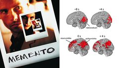 Aivoalueet (pun.), jotka käsittelevät Mementossa muisti- ja tulkintavihjeinä toimivia kohtauksia ennen kohtausten alkua sekä niiden aikana. Näköaivokuorella havaitaan kohtauksen alkua ennakoivaa toimintaa jopa kahdeksan sekuntia etukäteen. Muistista hakuun ja aiemmin nähtyjen tapahtumien tulkintaan mahdollisesti liittyvää, sormenjäljen lailla tunnistettavia reaktioita esiintyy taas etuotsa- ja päälaenlohkojen alueella. Kuva: Memento-julisteen yksityiskohta, (c) Oy Nordisk Film Ab. Kuva (oik.): Iiro Jääskeläinen.