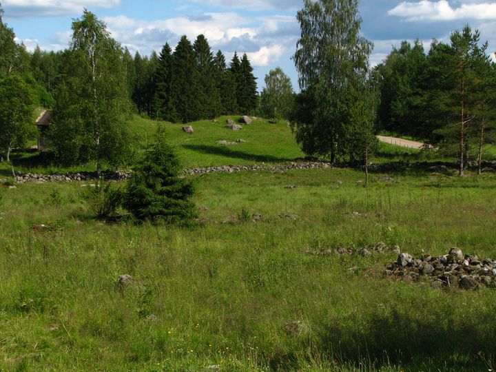 Parikkalan Kirjavalan laidun (kuva Kimmo Inki).