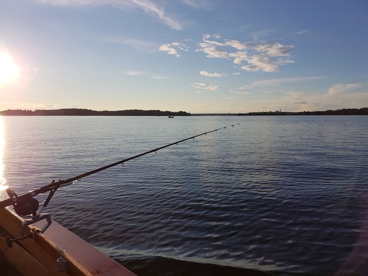 Kalastonhoitomaksuilla tuetaan kestävää kehitystä kalastusvesillä. Kuva: Tarmo Muuri/Pohjois-Savon ELY-keskus