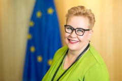 Sirpa Pietikäinen, europarlamentaarikko