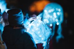 Taikonin valoesitys vuonna 2019 Kuva: Mikael Matikainen