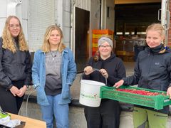 Veera Impola (vasemmalla, marja-aseman vastuuhoitaja), Ella Ikola, Netta Simonen ja Niina Nauha vastasivat Pyhäjoen Satosankarit-aseman pyörittämisestä.