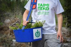 Taimiteko on työllistämisteko, sillä sen kautta varsinkin alle 18-vuotiaat nuoret saavat kesätöitä.​ Taimiteossa nuoret istuttavat uutta hiilinielua Suomeen.