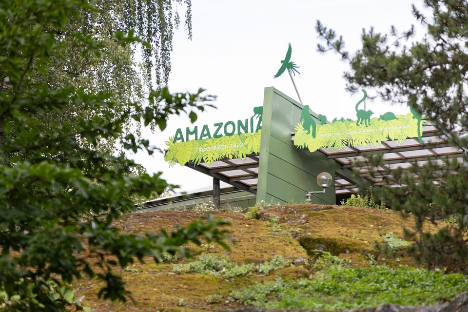 Trooppinen talo Amazonia, sisäänkäynti