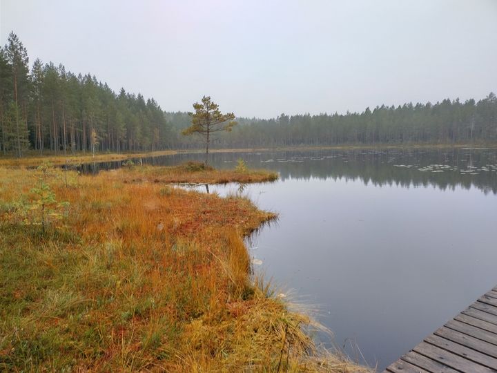 Syksyinen maisema suolammelta.