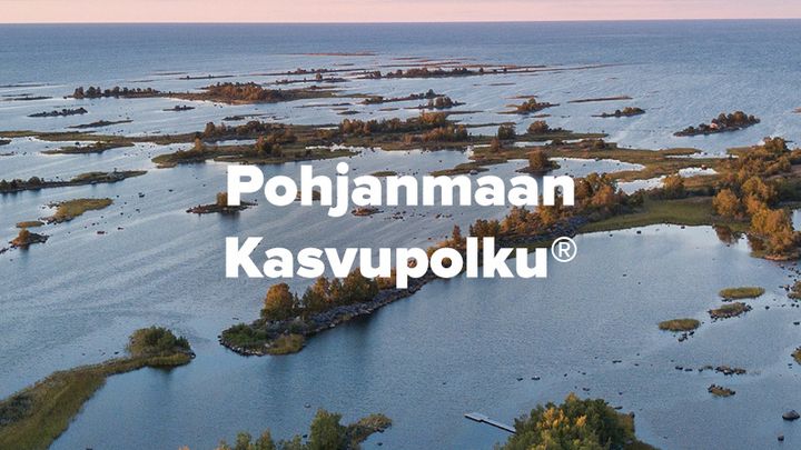 Pohjanmaan Kasvupolulla yrityksiä ovat sparraamassa kumppanit: Kpedu, Myynninmaailma, Pohjanmaan Kauppakamari, Vaasan Yliopisto, VAMK, VASEK ja Viexpo.