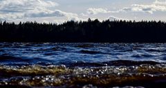 Kuhmon Lammasjärvi on 20 cm korkeammalla kuin keskimäärin syyskuun lopulla. (kuva: Kimmo Rauatmaa)