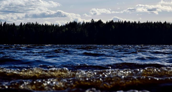 Kuhmon Lammasjärvi on 20 cm korkeammalla kuin keskimäärin syyskuun lopulla. (kuva: Kimmo Rauatmaa)