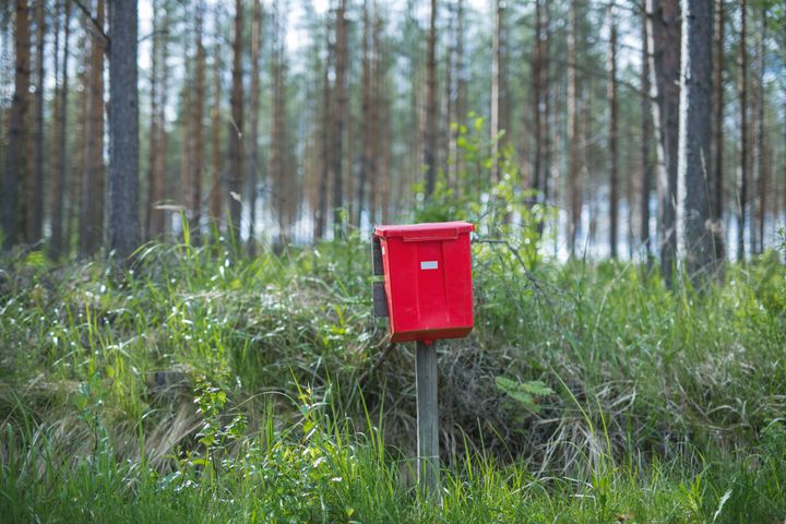 The purchase price of the sold forest estates reached nearly EUR 300 million. Photo: The National Land Survey of Finland/Julia Hautojärvi