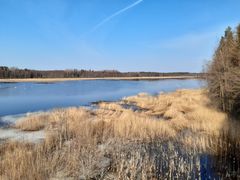 Kevätmuuttajien levähtäjälaskentaa Tammelan Pehkijärvellä huhtikuussa 2023. Kuva: Hannu Sillanpää
