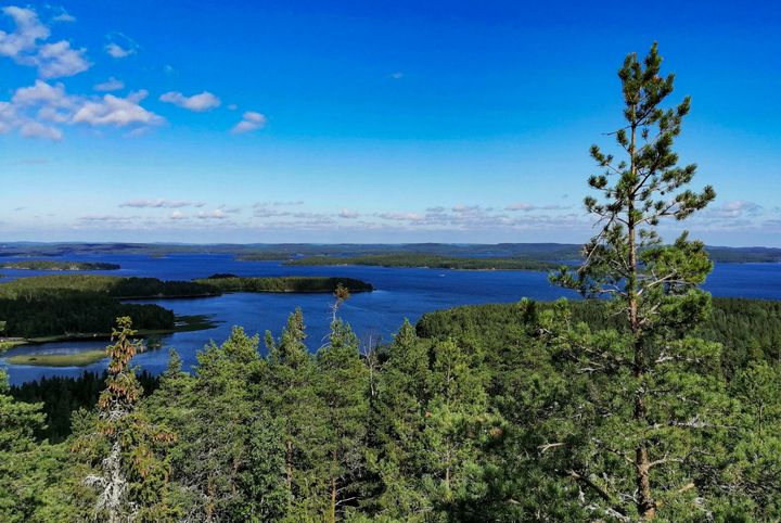 Maisema Oravivuorelta. Kuvaaja Mika Määttä.