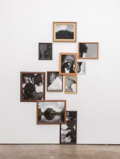 Exquisite Terribleness in the Mangrove,
2014 by Todd Gray.
The collection of Aryn Drake-Lee Williams & Jesse Williams.
Image courtesy of Meliksetian | Briggs, Los Angeles.
© Todd Gray