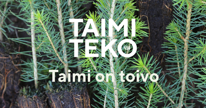 Taimikauppa on yksityishenkilöiden mahdollisuus osallistua Taimitekoon. Lahjoituksia tarvitaan, jotta Suomea voidaan metsittää ja nuoria työllistää tulevinakin vuosina.