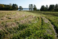Rantapeltoa ja vettä. Kuva: ©maaseutuverkosto, Yrjö Tuunanen. Vapaa julkaistavaksi.
