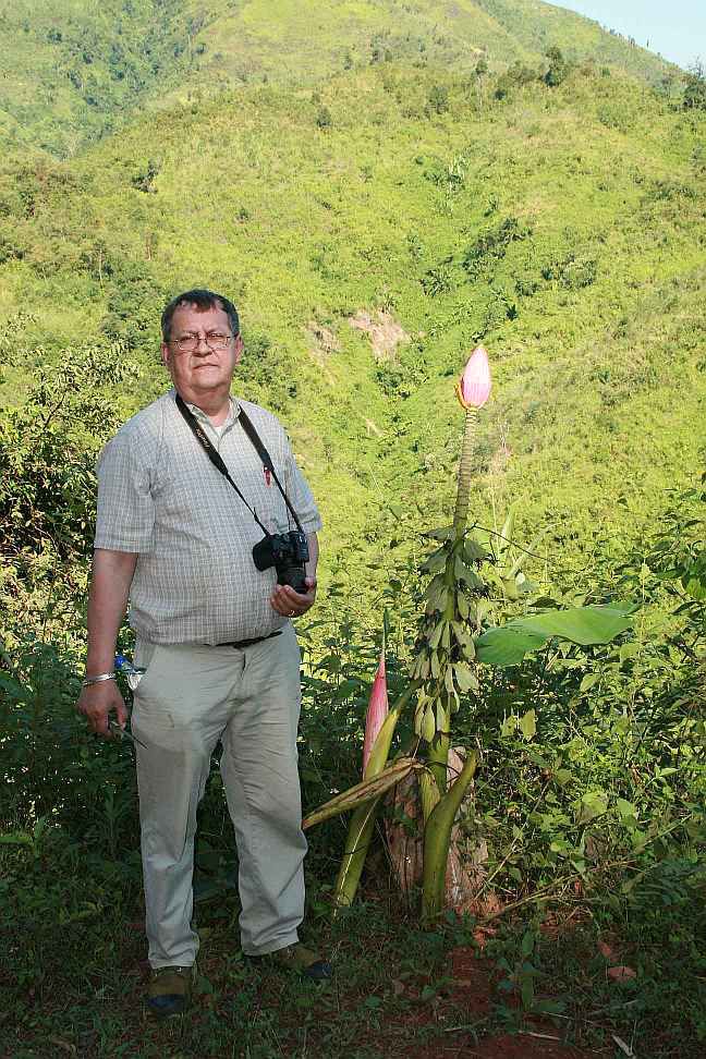 Mr. Häkkinen and Musa viridis (photo Thomas Haeverman)