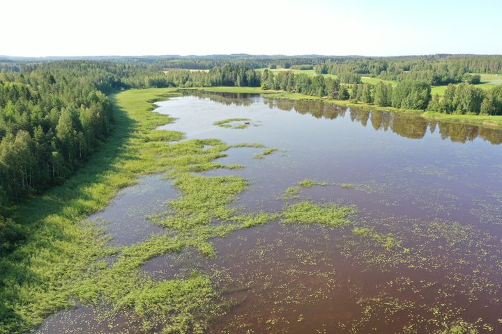 Avustuksilla on suuri merkitys vesistöhankkeiden rahoituksessa.