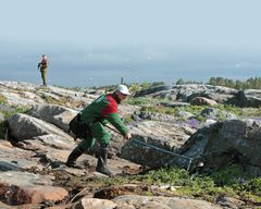 Matti Luostarinen ja Jarmo Nieminen
kuva: Jari Kostet, "Suurlaskija” Matti Luostarinen haavii valkoposkihanhea Haapasaarella. Taustalla toinen saaristohahmo Jarmo Nieminen.