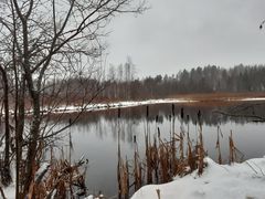 Luonnonsuojelualue joen toiselta puolen kuvattuna. Kuva Maria Vesterinen.